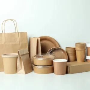 Biodegradable Food Packaging Solutions | Eco-Friendly Takeaway & Food Containers